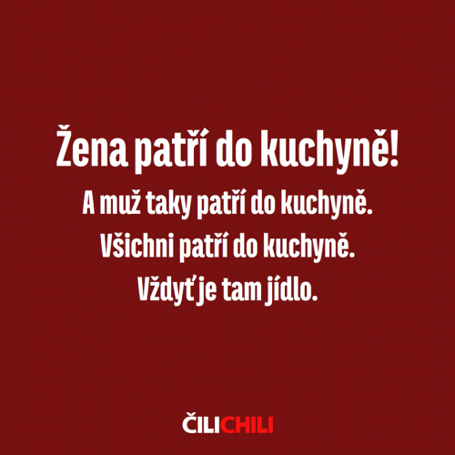  Žena patří do kuchyně 