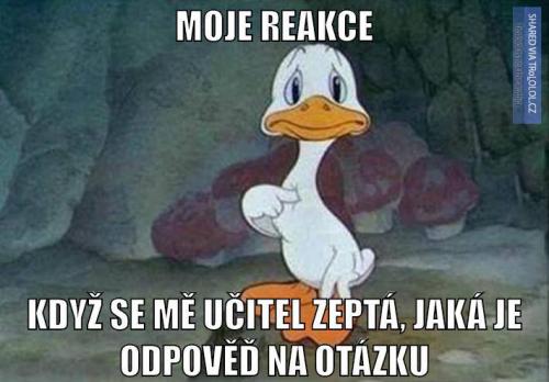  Otázka od učitele 