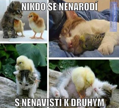 S nenávistí se nerodíme