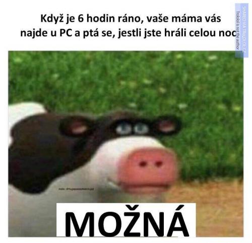  Možná 