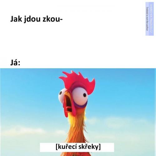  Zkouška 