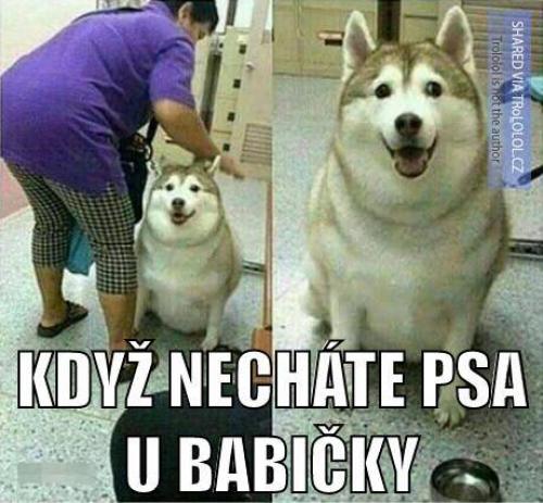  Babička 