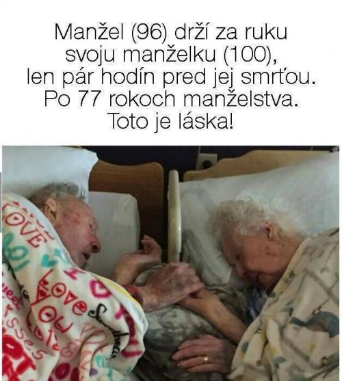  Manžel 