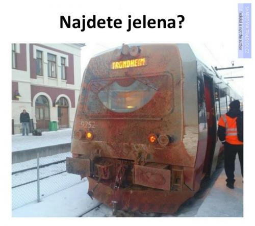 Najděte jelena