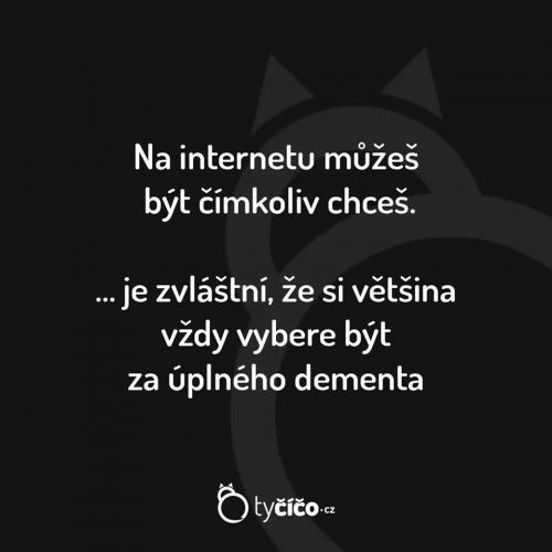  Na internetu 