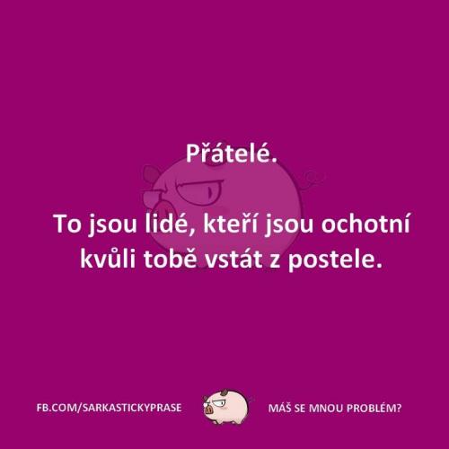  Přátelé 