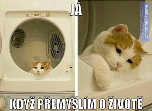 Když přemýšlím o životě
