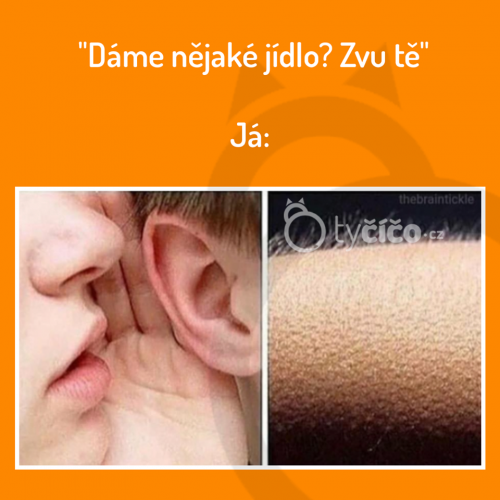 Zvu tě
