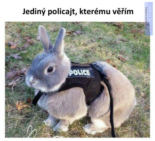  Jediný policajt 