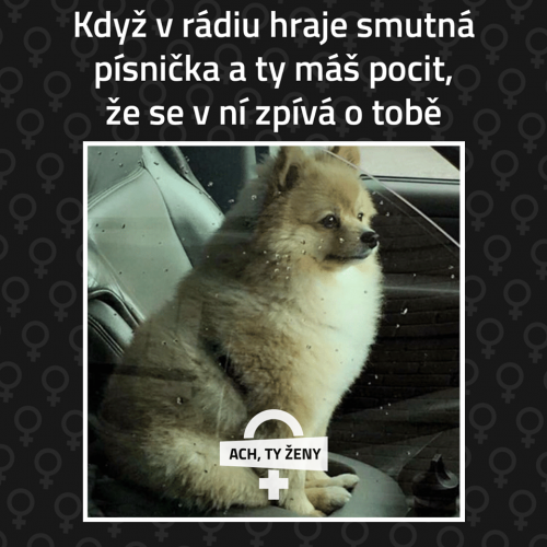  Smutná písnička 