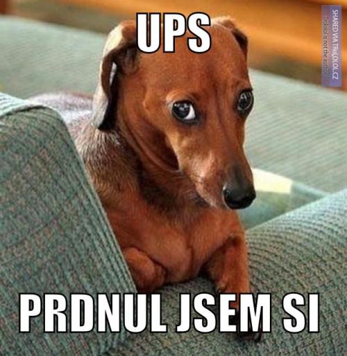 Odpustíme mu to?