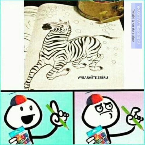  Zebra 