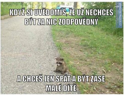 Zodpovědný