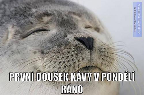  První doušek 