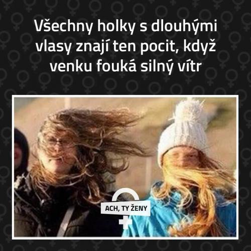  Všechny holky 