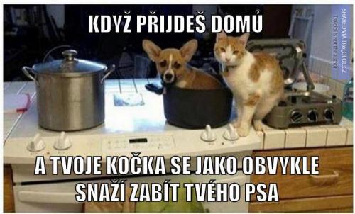  Když přijdeš domů 