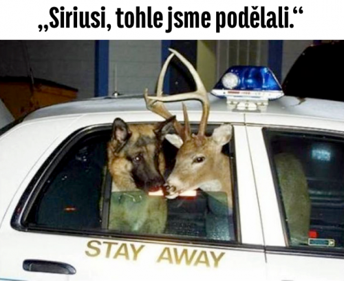 Siriusi