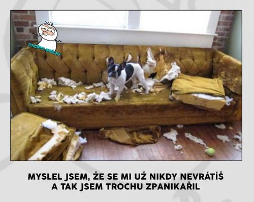 Zpanikařil