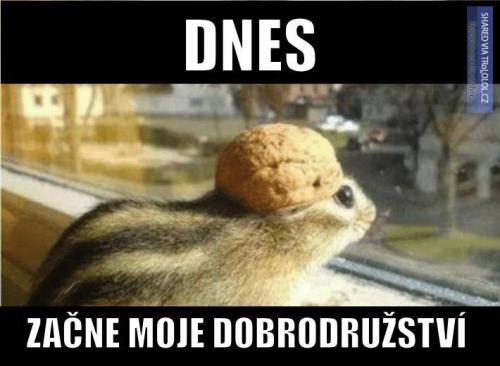  Dnes 