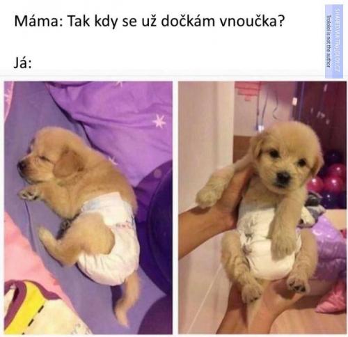 VNouček
