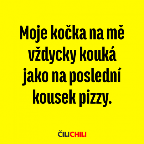  Moje kočka 