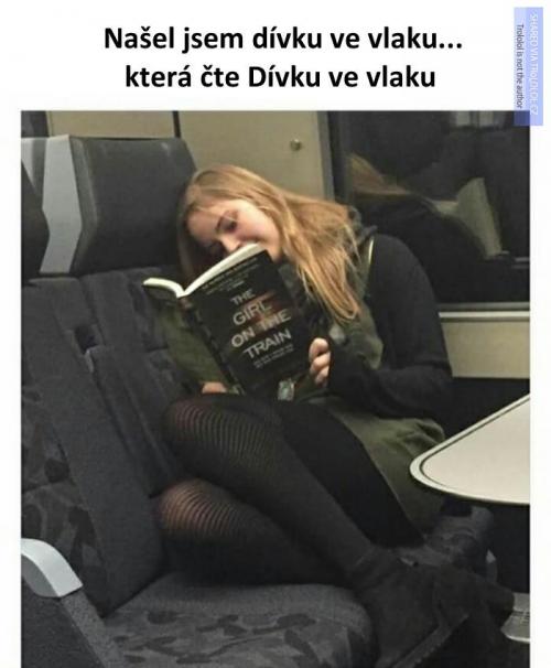  Dívka ve vlaku 