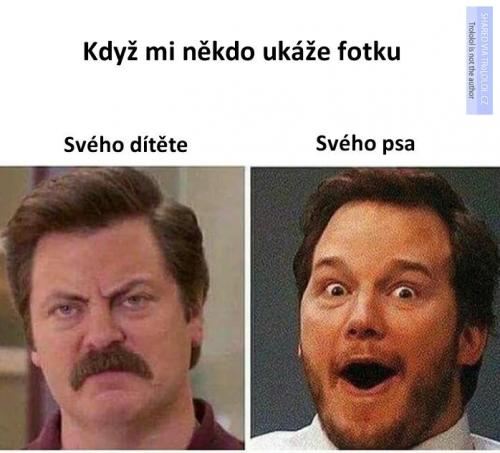  Dítě 