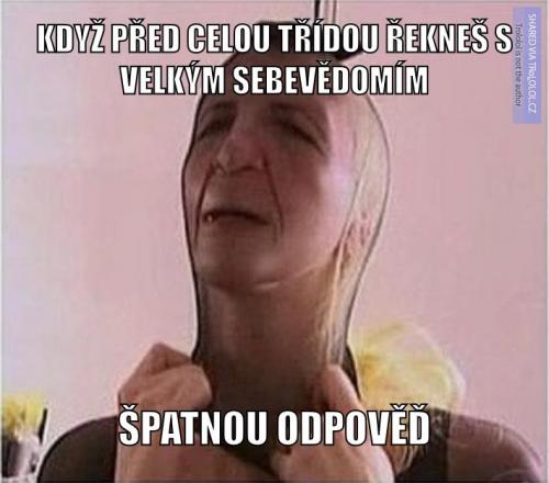  Odpověď 