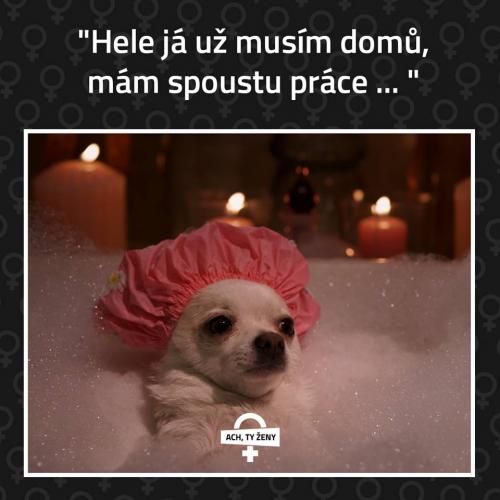 SPOustuuuuu