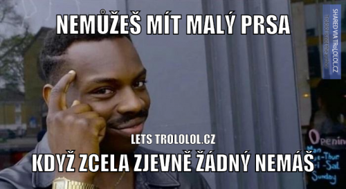  Malý prsa 