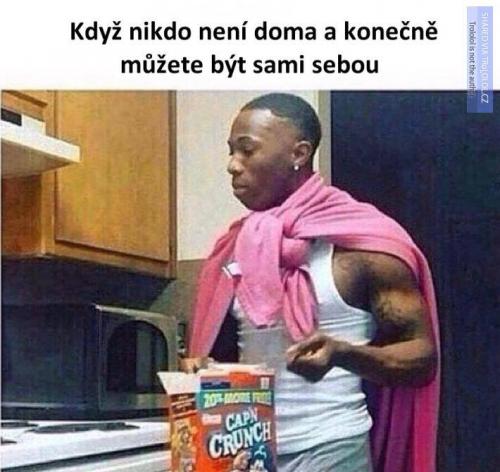  Není doma 