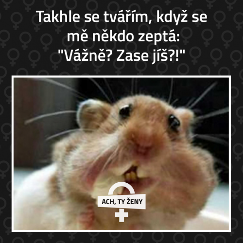 Zase jíš