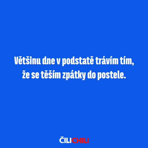  V podstatě 