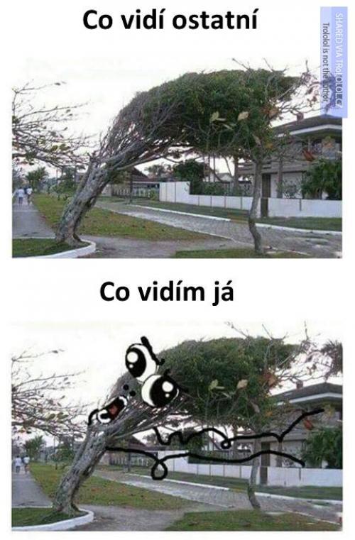 Co vidím já