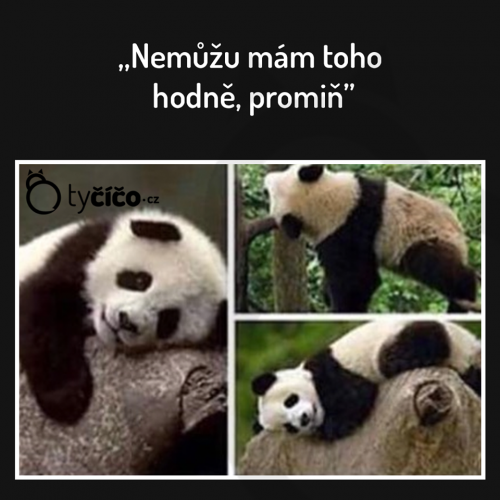  Mám toho hodně 