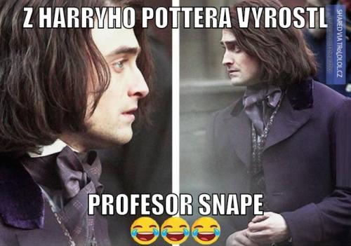  Harry Potter alias Snape 