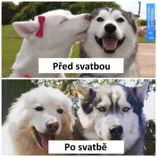  Svatba 