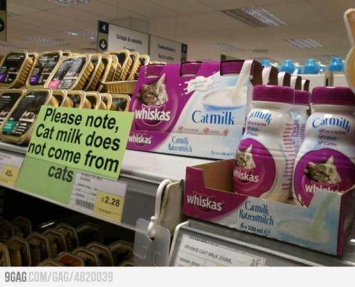  Kočičí mléko není z koček 