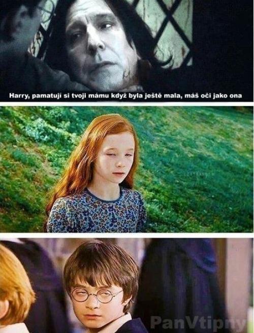Matka Pottera