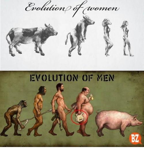Evoluce
