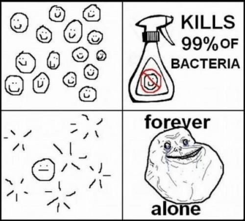  Bakterie 