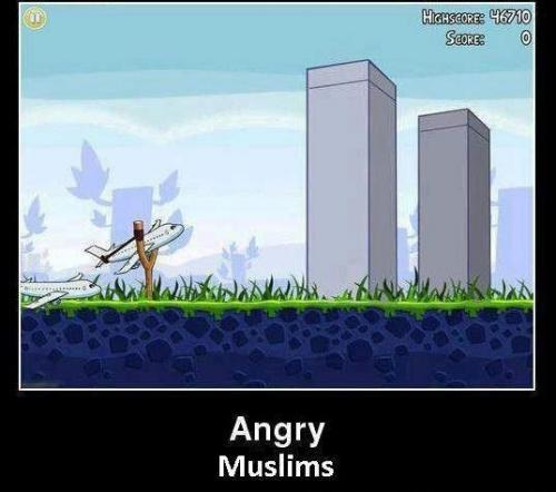  Angry Birds 02 