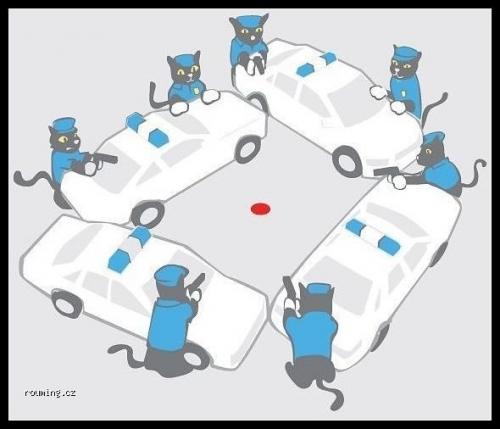  Kočičí policie 