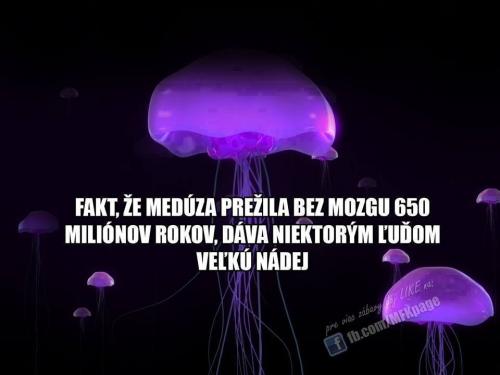  Medúza 