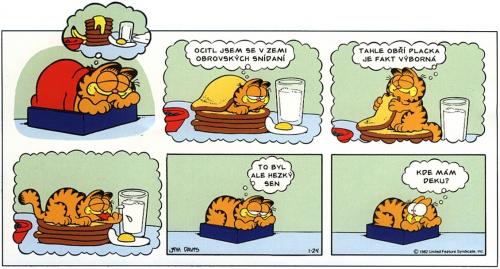  Garfield - sen 