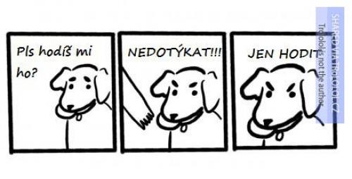  Logika psů 