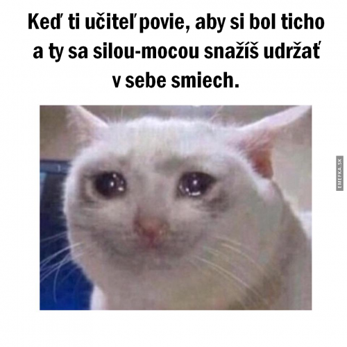  Ve škole 