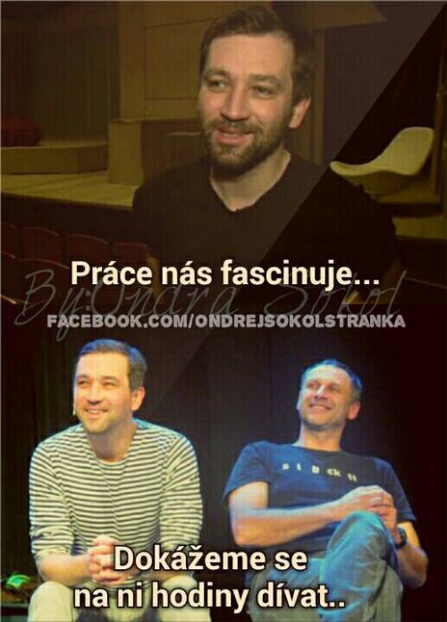  Práce  