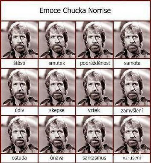  Chuck Norris 