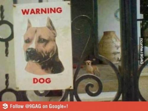  Pozor, zlý pes 
